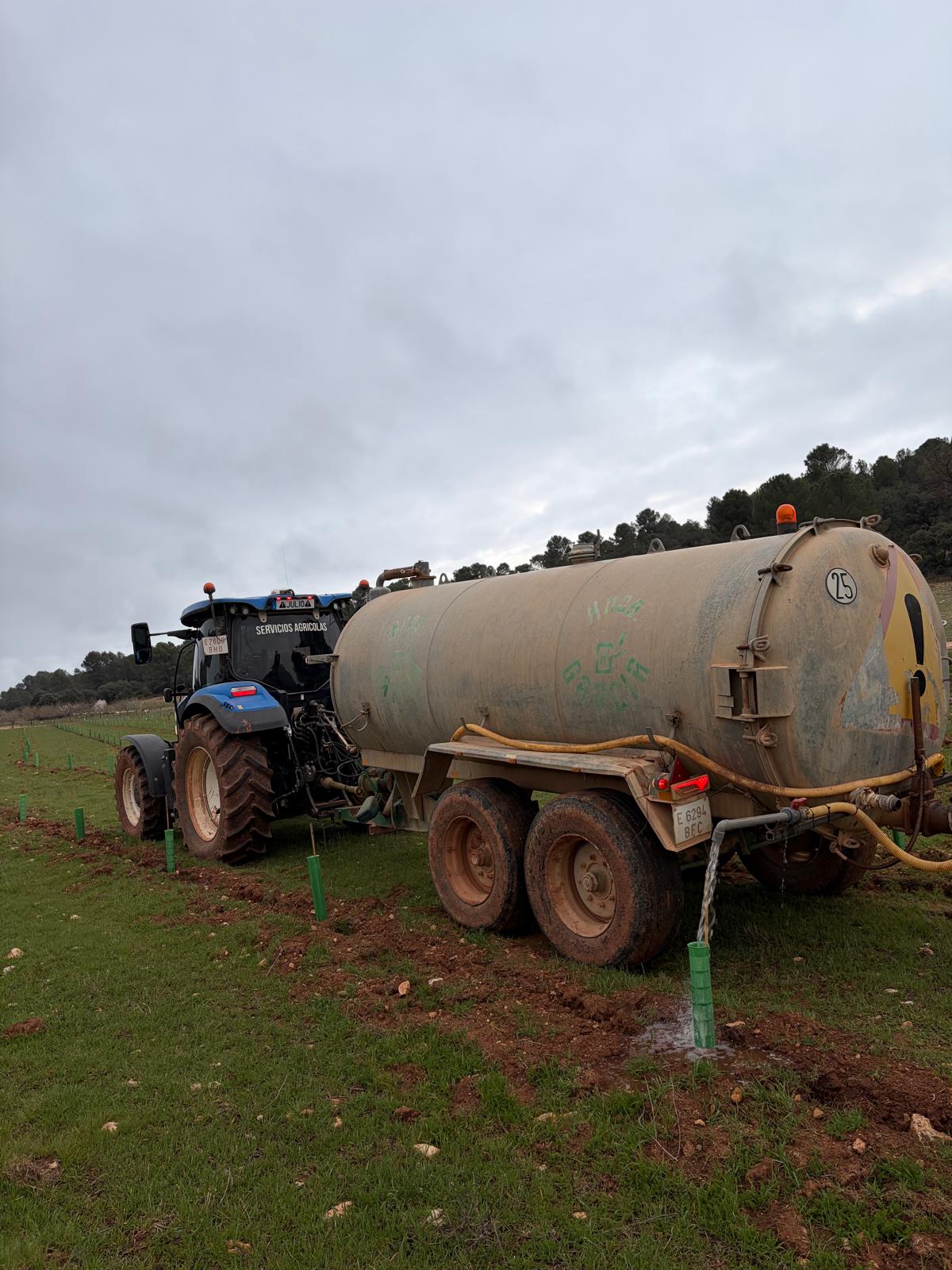 Riego con cuba de una plantación nueva de árboles